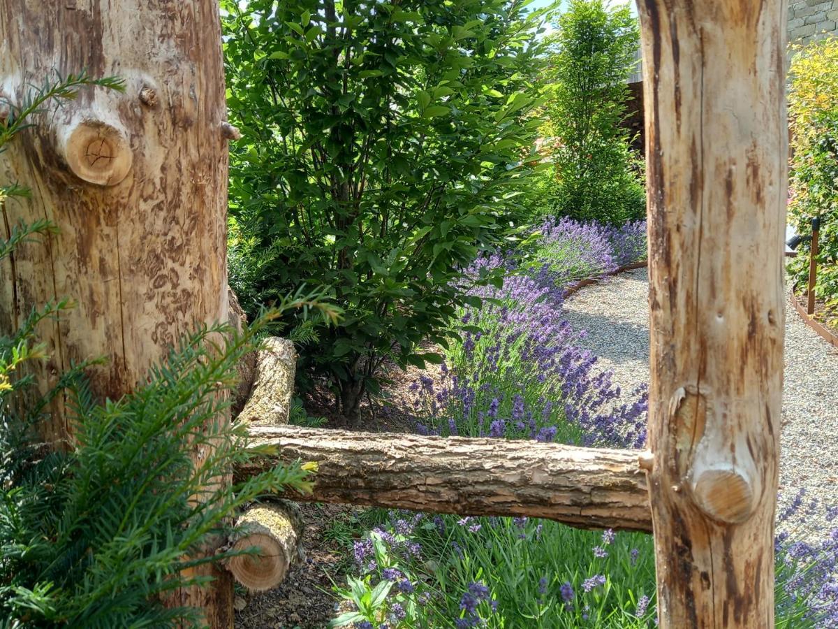 Le Jardin Des Fagnes Villa โรแบร์วิลล์ ภายนอก รูปภาพ